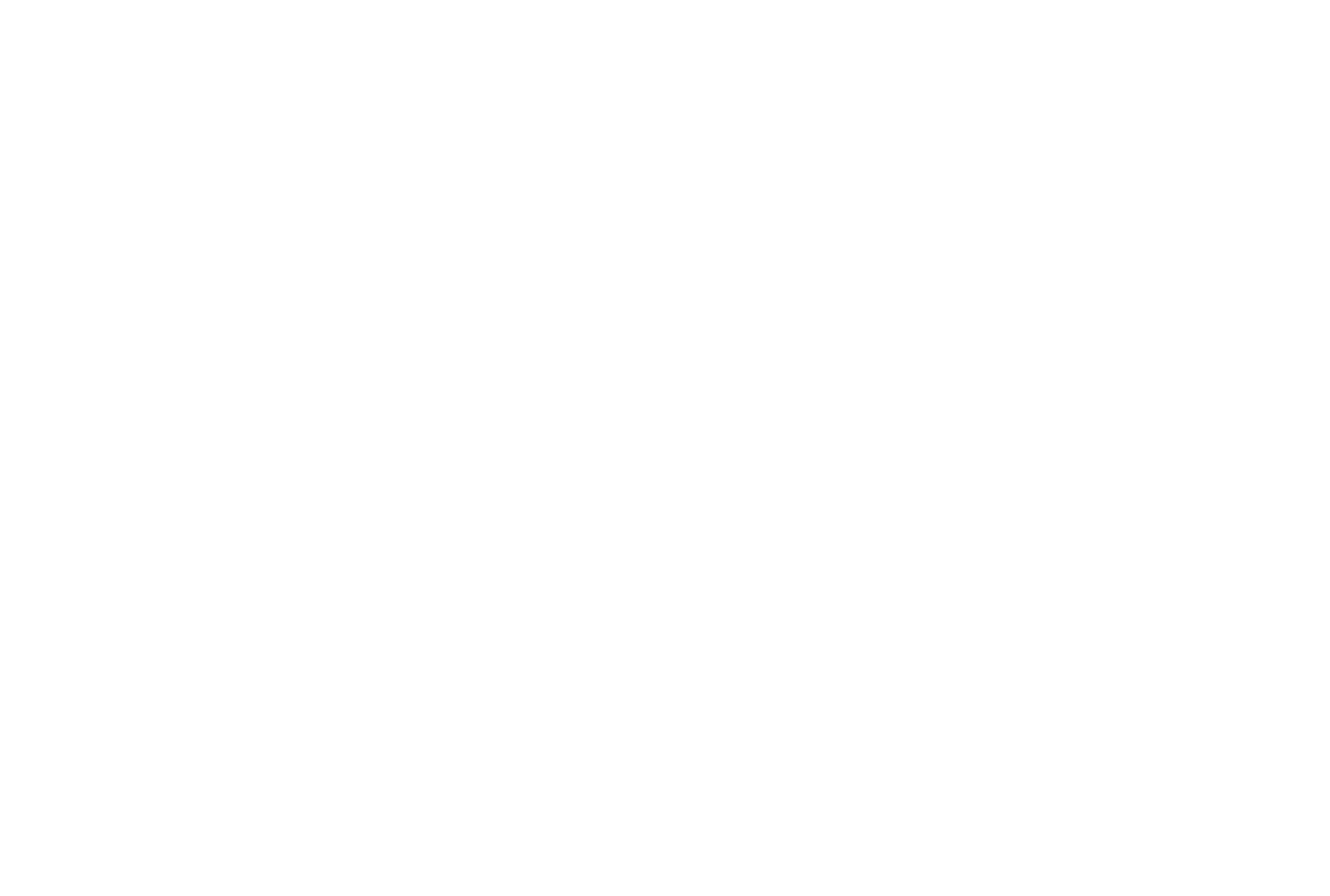 Monkey Mind Academy